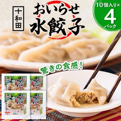 ふるさと納税 十和田市 驚きの食感!十和田おいらせ水餃子
