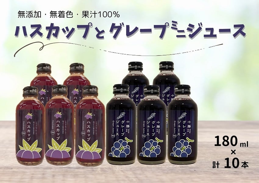 
            北海道 ぶどう・ハスカップミニジュース10本 ストレート 果汁100％ ぶどう 葡萄 ブドウ ハスカップ 無添加
          