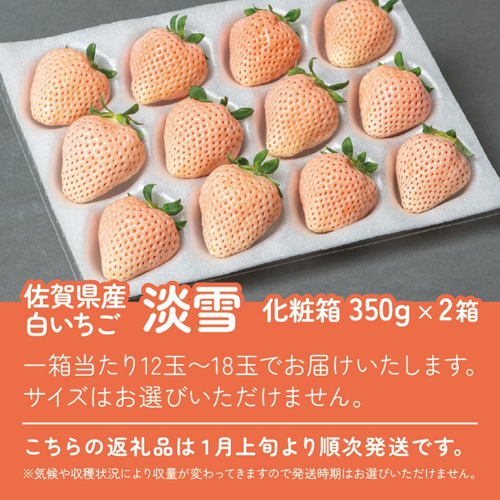 【先行予約】希少価値 佐賀県産 いちご 淡雪 （化粧箱×2箱） フルーツ 果物 旬 苺 白いちご 350g×2P 贈答 化粧箱 ギフト プレゼント 九州 佐賀県 佐賀市 清瀬農園 ：B190-026_