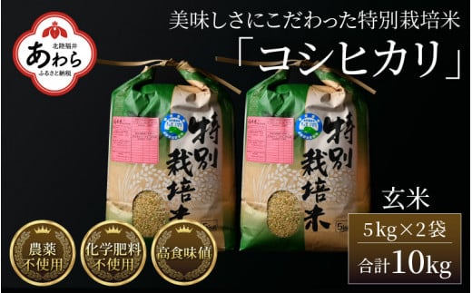 【先行予約】【令和6年産】コシヒカリ 玄米 5kg×2袋（計10kg） 特別栽培米 農薬不使用 化学肥料不使用 ／ 高品質 鮮度抜群 福井県産 ブランド米 新米 ※2024年9月下旬以降順次発送予定