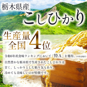 【3回定期便】栃木県産 コシヒカリ 5kg | 栃木県 下野市