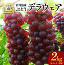 【ふるさと納税】【令和7年発送】宮崎県産ぶどう　デラウェア2kg - 先行予約 フルーツ 先行受付 ブドウ 期間限定 葡萄 数量限定 九州産 宮崎県産 川南町産 D04702