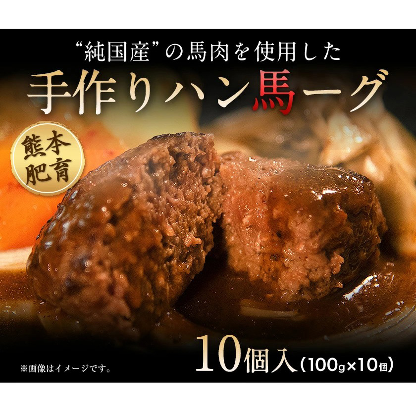 手作りハン馬ーグ 100g×10個 馬肉100%配合！【純国産馬肉使用】【熊本肥育】《30日以内に出荷予定(土日祝除く)》---mna_fkgumburg_30d_23_12000_10k---