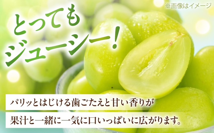 シャインマスカット しゃいんますかっと シャイン マスカット ますかっと Shine Muscat 秀品 3～5房 皮ごと