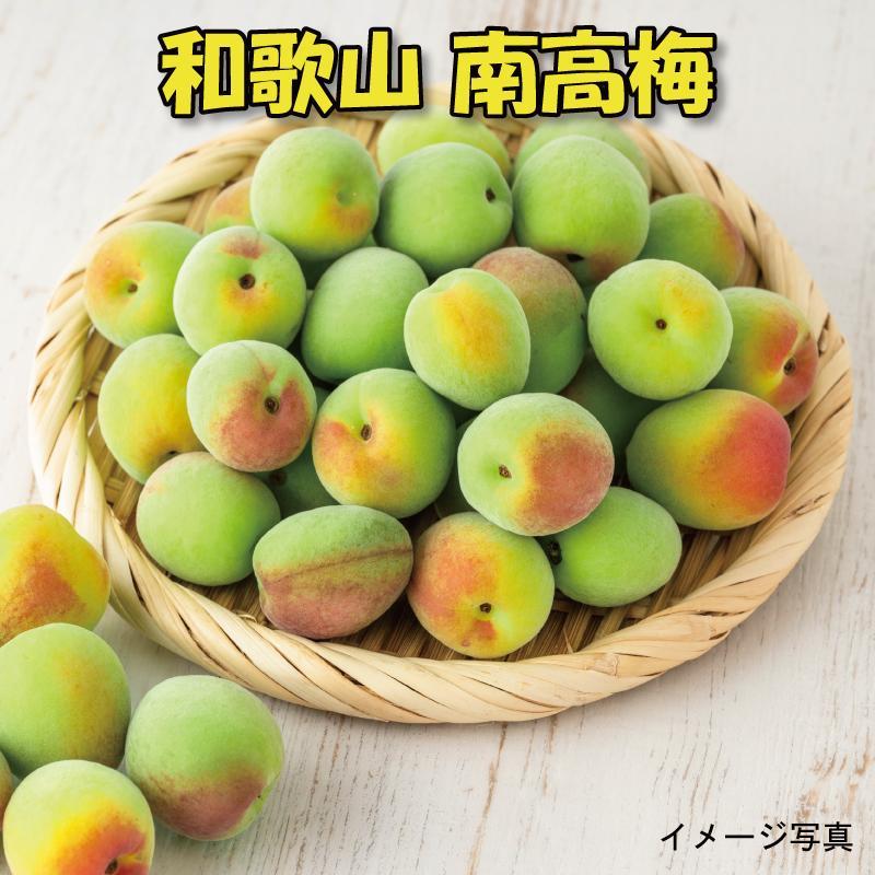 【ふるさと納税】［梅干・梅酒用］（LまたはM－2Kg）熟南高梅＜2027年6月上旬～7月中旬発送予定＞フルーツ 果物 くだもの 食品 人気 おすすめ 送料無料［ART07］