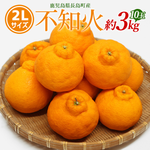 【先行予約】不知火 2Lサイズ 10玉入り約3kg 【山上農園】yamagami-775R7