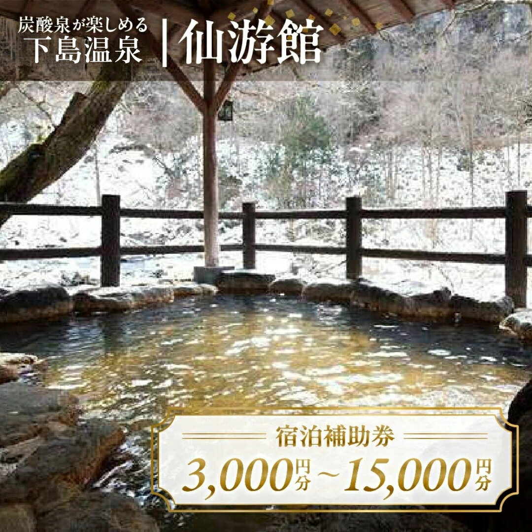 【ふるさと納税】下島温泉 仙游館 宿泊補助券 3,000円～15,000円分 旅館 温泉 旅行 下呂市 宿泊券 小坂 せんゆうかん 旅 10000円 1万円