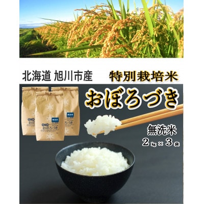 おぼろづき無洗米2kg×3袋_01259【1155387】