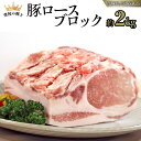 【ふるさと納税】【 常陸の輝き 】 豚 ロース ブロック 約2kg (茨城県共通返礼品) 国産 国内産 豚肉 ポーク ロース かつ丼 ステーキ トンテキ とんかつ 焼肉 バーベキュー BBQ 贈り物 [ET08-NT]