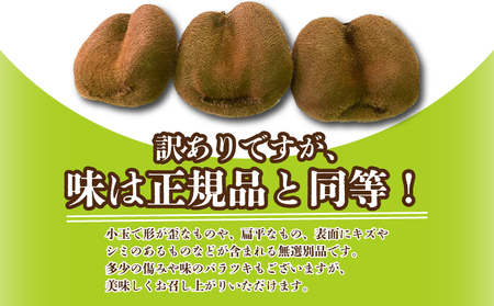 先行予約 訳あり キウイ 香緑 約1.5kg キウイ 配送：12月～1月下旬 
