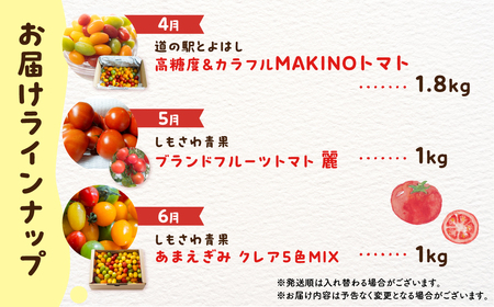 トマト大好き定期便 6回お届け トマト ミニトマト フルーツトマト 食べ比べ 高糖度 プチぷよ ファーストトマト とまと あまえぎみ 旬 先行予約 期間限定 お楽しみ トマト定期便 定期便定期便定期便