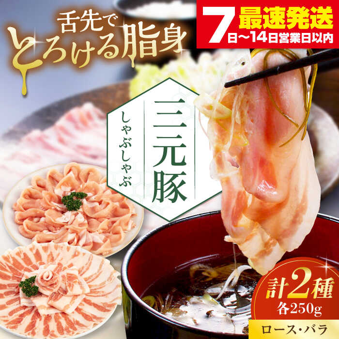 【ふるさと納税】 三元豚 しゃぶしゃぶセット 500g ロース・バラ だし・昆布ナシ 《喜茂別町》【平田牧場】 肉 豚肉 ロース バラ ロース肉 バラ肉 しゃぶしゃぶ 鍋 お鍋 冷凍配送 北海道 平田牧場 おすすめ [AJAP066] 9000 9000円