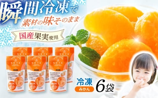 長崎冷果 みかん 6袋セット / 冷凍 冷凍フルーツ みかん ミカン 柑橘 / 諫早市 / エスジーエス株式会社 [AHEQ002]