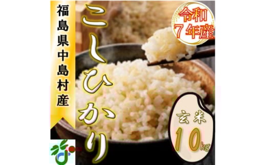 ＜数量限定/令和7年産＞中島村産『コシヒカリ』(玄米)10kg【1633143】