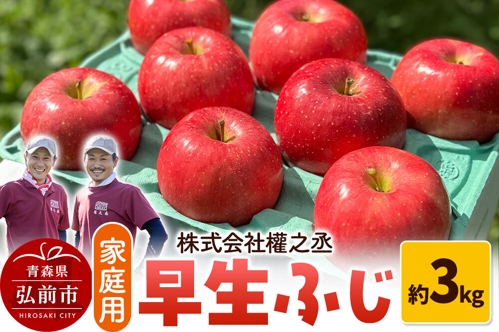 りんご 早生ふじ【家庭用】約3kg 權之丞farm 青森県 弘前市 果物 フルーツ 林檎 リンゴ くだもの 不揃い 規格外 [産地直送 弘前市産 アップル おいしい 果実 美味 甘い 赤色]