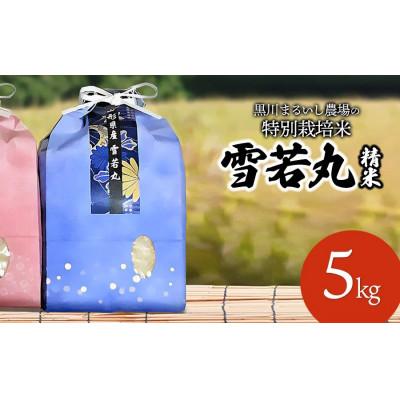 ふるさと納税 鶴岡市 【令和7年産】特別栽培米雪若丸 精米 5kg 黒川まるいし農場[K-745]
