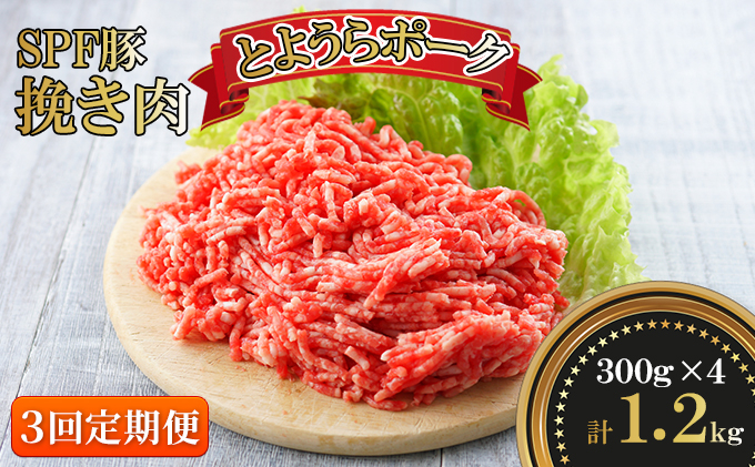 
【3ヵ月 定期便 】 とようらポーク1.2kg ひき肉 小分け 北海道豊浦産 SPF豚
