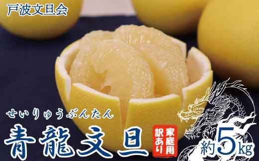 《戸波文旦会》 【訳あり】青龍文旦 家庭用 約5kg（M～5L混合サイズ）【土佐グルメ市場厳選】高知産 土佐文旦 みかん 柑橘 フルーツ 文旦 ぶんたん ブンタン 果物 訳アリ 傷 お取り寄せ おいしい 故郷納税 ふるさとのうぜい 返礼品 高知県 高知 土佐市