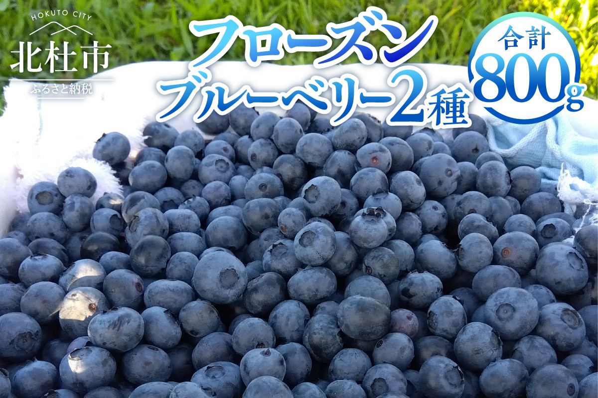 
ビッグりサイズの『フローズンブルーベリー（冷凍ブルーベリー）』400g×2品種
