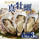 【ふるさと納税】【発送時期・数量選べる】仮屋湾の真牡蠣 1.5kg or 3kg【殻付き】／ 牡蠣 殻付き 貝 貝類 殻付 魚介 魚介類 海鮮 海産物 カキ 牡蛎 バーベキュー BBQ 国産 佐賀県 玄海町 冷蔵 人気 おすすめ 送料無料