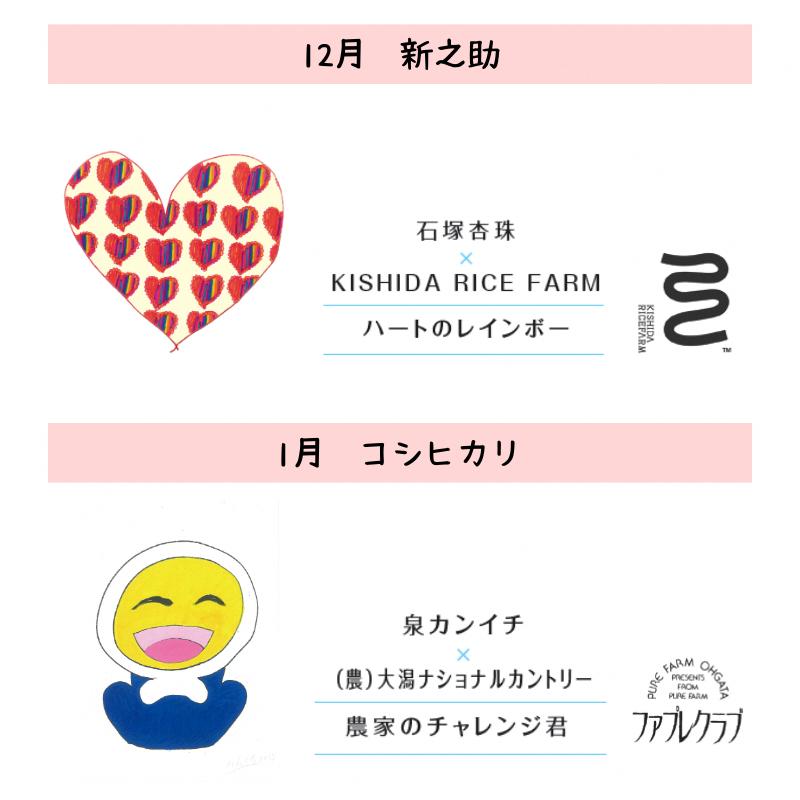 令和7年産 新潟県産 米 5kg 食べ比べ コシヒカリ こしいぶき 新之助 つきあかり みずほの輝き 先行予約 定期便 新米 アール・ブリュット アート 上越市 上越産 おすすめ 限定