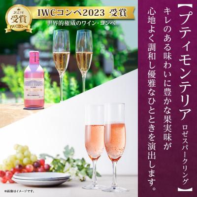 ふるさと納税 笛吹市 プティモンテリア スパークリング 2種 飲み比べ 290ml 24本入 モンデ酒造 山梨県 笛吹市 |  | 02