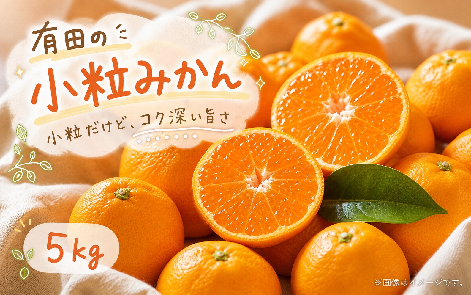 【有田の小粒みかん5kg　(S～3Sサイズ混合) ※2026年11月下旬～2027年1月下旬頃に順次発送予定  / みかん ミカン 蜜柑 温州みかん 柑橘 フルーツ 果物 くだもの 和歌山【uot845A】 