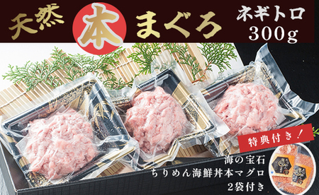 天然 本まぐろ ネギトロ セット ネギトロ 300g 海の宝石 ちりめん海鮮丼本マグロ 2袋 特典付き プロトン冷凍 解凍レシピ付