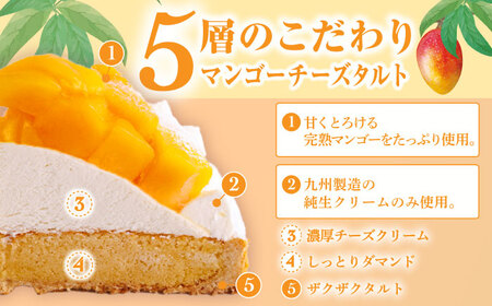 【全3回定期便】完熟マンゴーチーズタルト（18cm）【心優 －Cotoyu Sweets－】[KAA444]