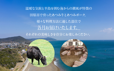 あつみ牛豚食べつくし定期便 4回お届け あつみ牛 牛 牛肉 あつみポーク 豚 豚肉 赤身 ヒレ リブロース カルビ バラ ロース 肩ロース 焼肉 ステーキ しゃぶしゃぶ すき焼き すきやき 定期便 肉