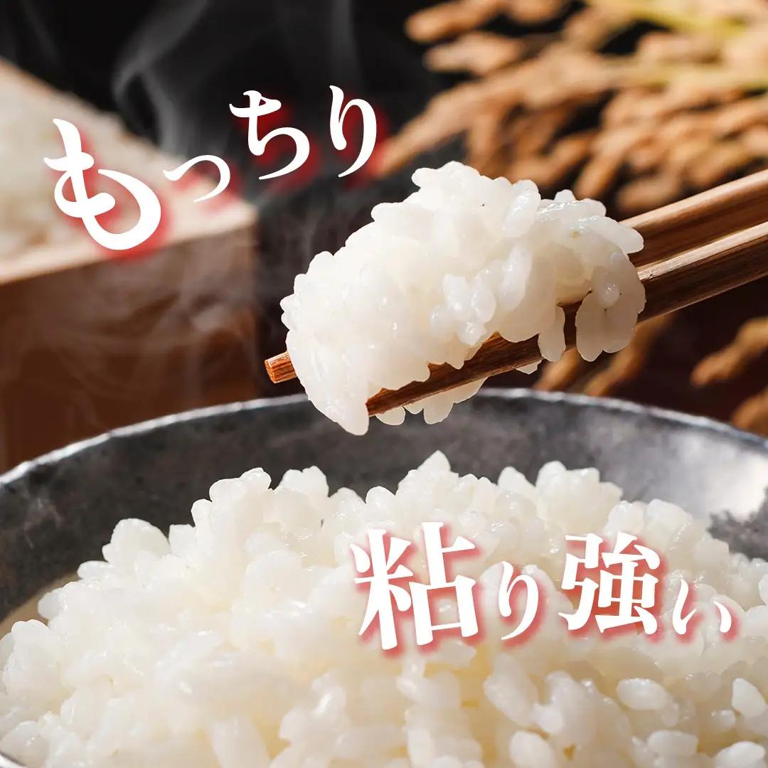 《 令和8年産 》 茨城県産 にじのきらめき 5kg 新米 先行予約 茨城県 桜川市 米 お米 白米 コメ ごはん 精米 コシヒカリ 国産 限定 銘柄米 [SC069sa]