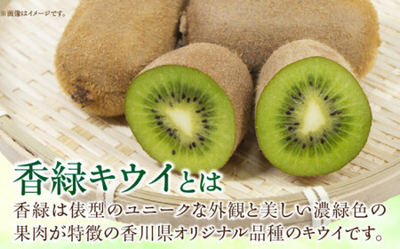 香川県オリジナルキウイフルーツ「香緑」約3kg【香川県共通返礼品】_mk059-025