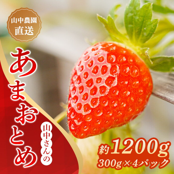 【ふるさと納税】 先行予約受付中 いちご あまおとめ 4パック 1200g 苺 フルーツ 果物 デザート 甘い 高知 中土佐町産 いちご ふるさと納税 送料無料 甘い 高糖度 産地直送