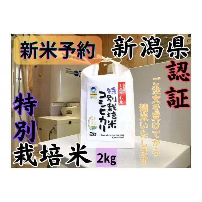 【令和8年産・新米予約】安心安全の新潟県南魚沼産特別栽培米コシヒカリ　2kg　新潟県認証【銘柄米 ブランド米 精米 こしひかり コシヒカリ 魚沼産 新潟米】【2026年10月上旬より1ヶ月以内に順次発送予定】