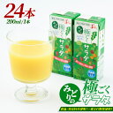 【ふるさと納税】乳酸菌を加えた野菜ジュース!「みどり」の極ごくサラダ(200ml×24本)国産 野菜ジュース 乳酸菌 腸活 果物 くだもの フルーツ 野菜 ヘルシー【鹿児島県経済農業協同組合連合会】keizai-1253