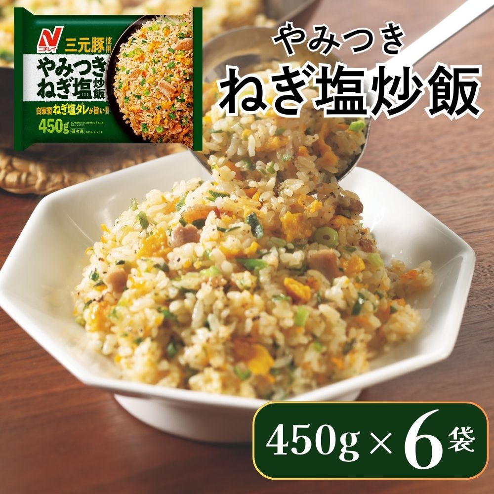 【ふるさと納税】ニチレイ 冷凍食品 チャーハン 炒飯 やみつきねぎ塩炒飯 450g 6袋 焼き飯 焼飯 やきめし 冷凍 冷凍チャーハン 冷凍炒飯 中華惣菜 料理 弁当 レンチン レンジ ニチレイフーズ 家庭用 千葉県 船橋市 送料無料