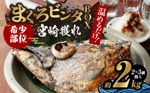 まぐろ ビンタ BOX 宮崎獲れ 約2kg マグロ 兜 焼き 頭 かしら カシラ おかず おつまみ お弁当 食品 希少 ご褒美 おうち時間 おすすめ お取り寄せ 簡単調理 海鮮 魚介 お土産 ギフト 贈答 キャンプ グランピング BBQ 冷凍 宮崎県 日南市 送料無料_D93-24