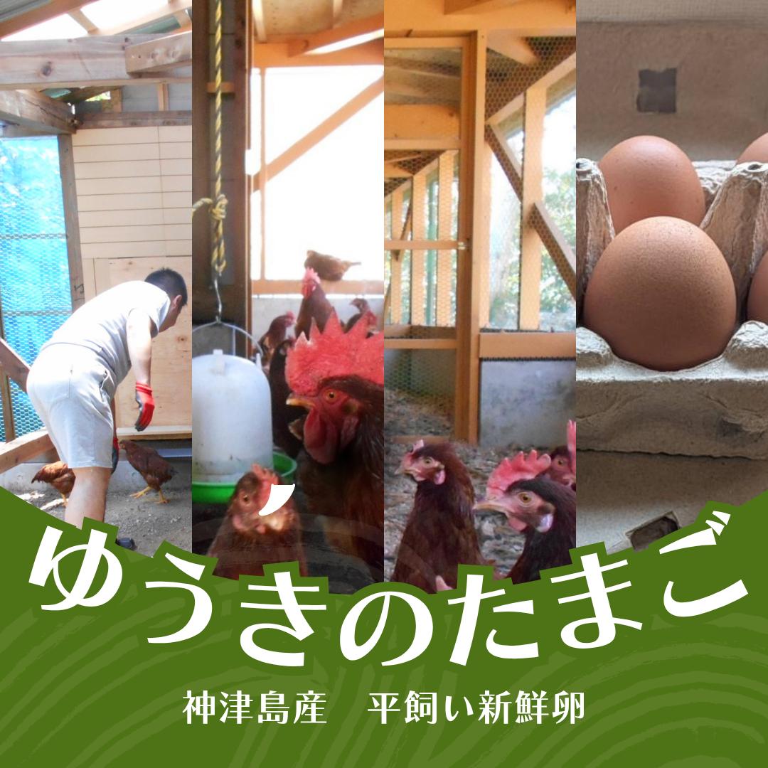 
            １０月発送【神津島産】産み立て新鮮卵
          