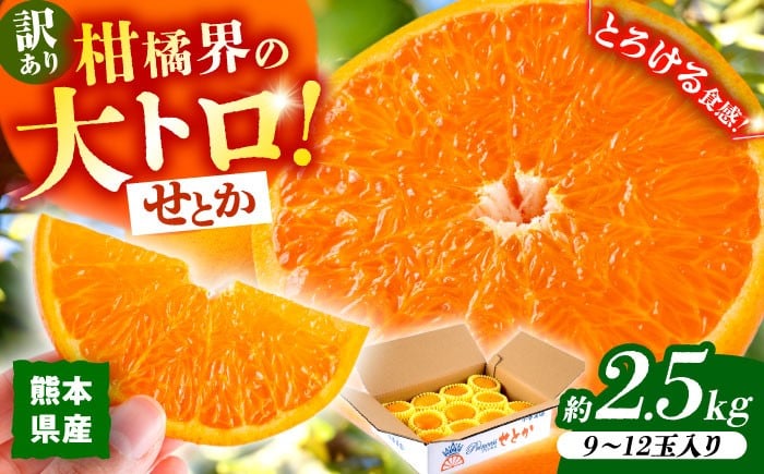 
                  【2027年2月下旬から発送】【訳あり】せとか みかん 家庭用 約2.5kg 果物 フルーツ 【小春農園】 [ZBN007]
                