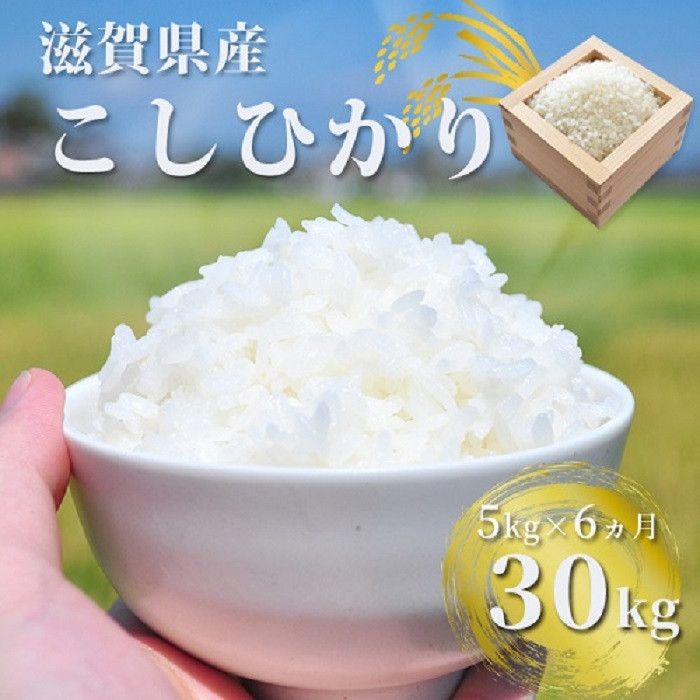 
                  ぎおん米コシヒカリ 30kg（5kg×6ヵ月）株式会社TKS 滋賀県 東近江市 I-D03 米 白米 こしひかり 30キロ 定期便 お取り寄せ 産地直送
                
