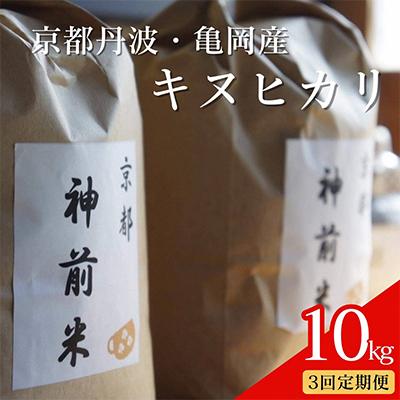 ふるさと納税 亀岡市 【毎月定期便】京都・神前米 キヌヒカリ 10kg×全3回