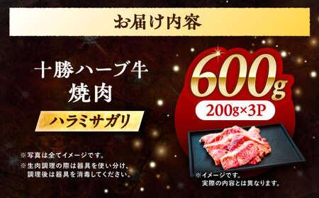 北海道 十勝 ハーブ牛 ハラミ サガリ 焼肉 600g （200g×3） 《足寄町》【株式会社ノベルズ食品】[BEAQ024]