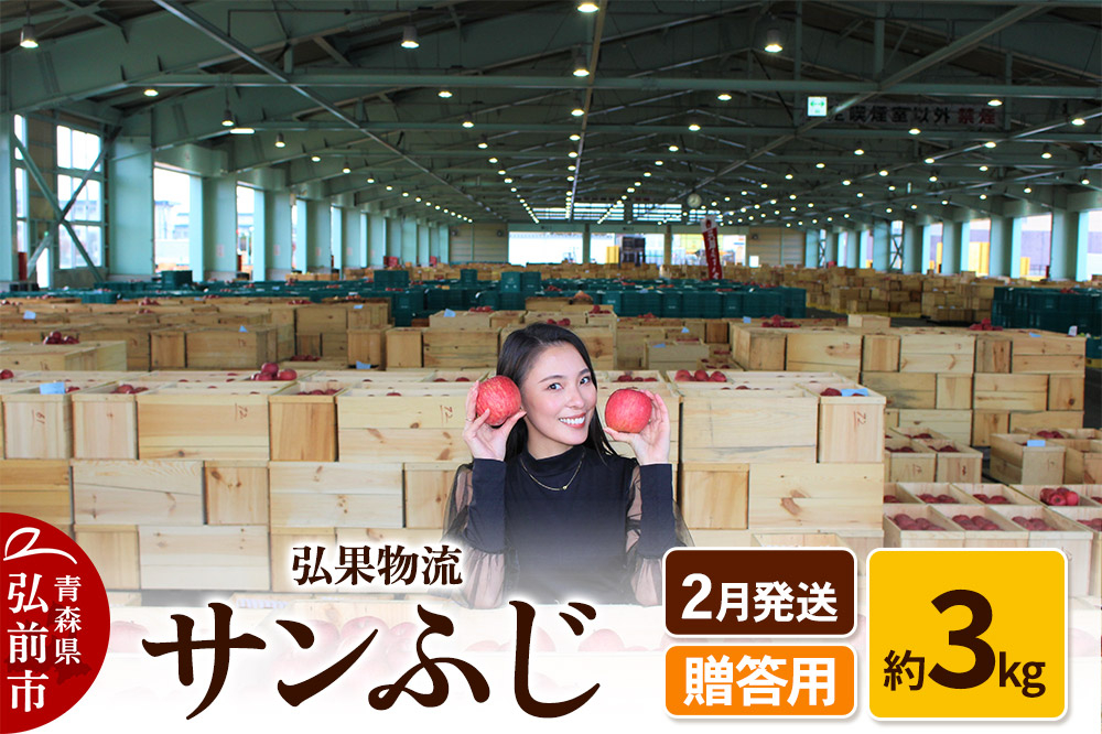 
            【26年2月発送】りんご 贈答用 サンふじ 約3kg
          