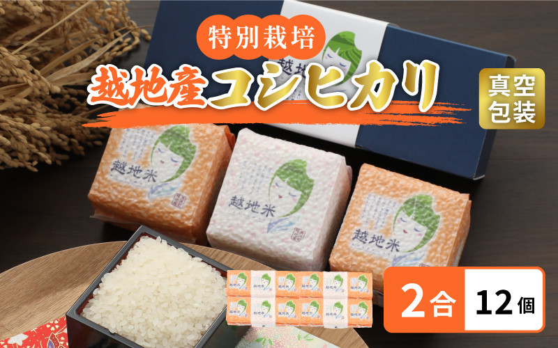 
米 越地（こいち）産 特別栽培米 コシヒカリ 令和6年産 真空包装 2合 × 12個【キャンプ 保存 備蓄 防災】[m24-b002]
