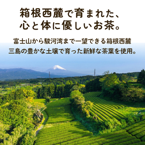 三島の紅茶 2種 飲み比べ 100g (50g×2) 茶葉 栽培期間中 農薬不使用