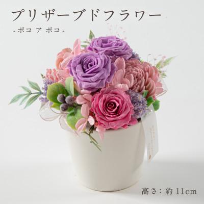 ふるさと納税 羽島市 プリザーブドフラワーアレンジ 【ポコ ア ポコ(ライラック)】