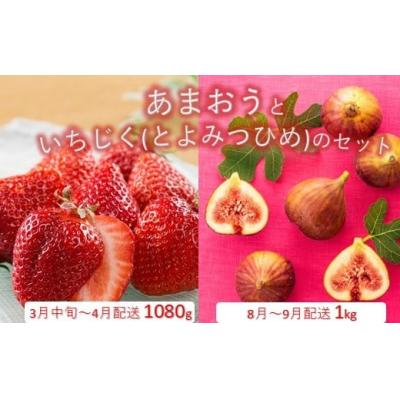 ふるさと納税 新宮町 あまおう約1,080gといちじく約1kgのセット【あまおう】【とよみつひめ】.BB038