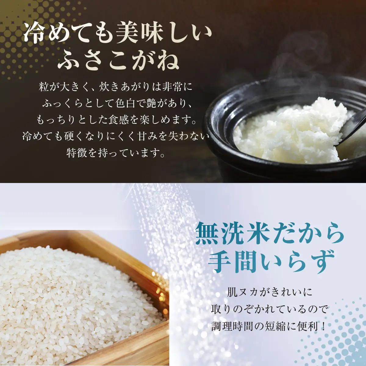 【先行予約 9月上旬から発送】＜令和8年産＞≪6ヶ月定期便≫房の黄金米「ふさこがね」10kg × 6回 計60kg   SMBR018