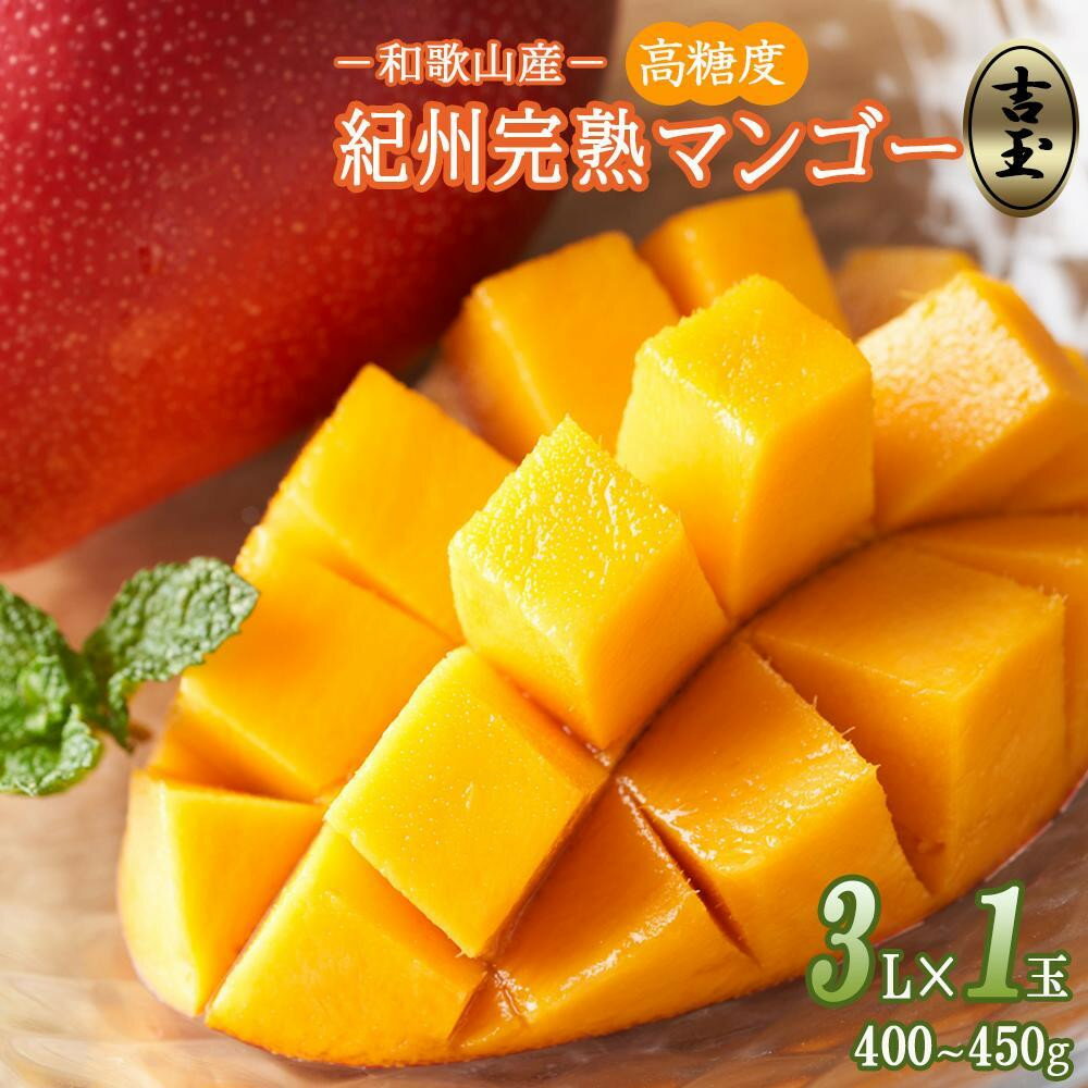 【ふるさと納税】【選べる容量】◆先行予約◆和歌山県産　紀州完熟マンゴー『吉玉』1玉入り/2玉入り/2～3玉(約1kg)［2026年7月下旬から8月下旬頃順次発送予定］ | フルーツ 果物 くだもの 食品 人気 おすすめ 送料無料