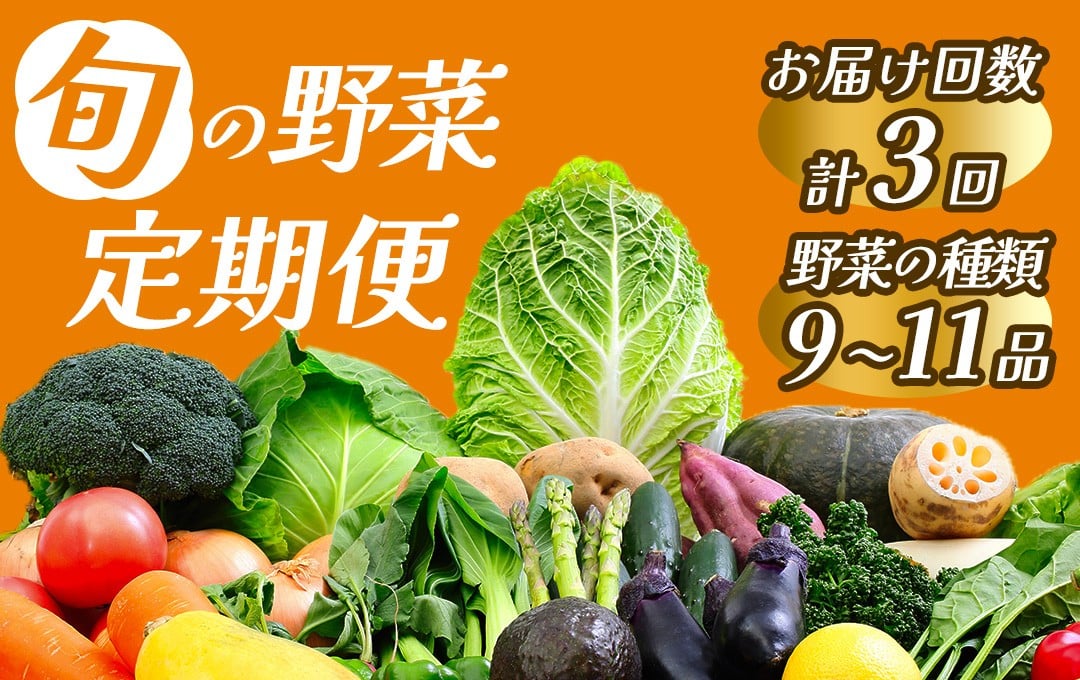 
            【定期便】 旬の野菜 3ヶ月の定期便　【 野菜 やさい きのこ 山菜 セット 定期 旬 定期便 人気 詰め合わせ 3ヵ月 おまかせ 新鮮  】　<BC-49>
          